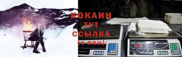 сатива Михайловск