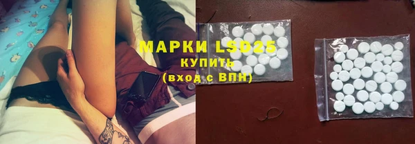 сатива Михайловск
