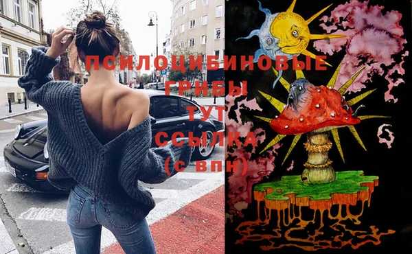 а пвп мука Медногорск