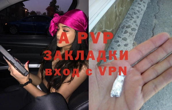 сатива Михайловск