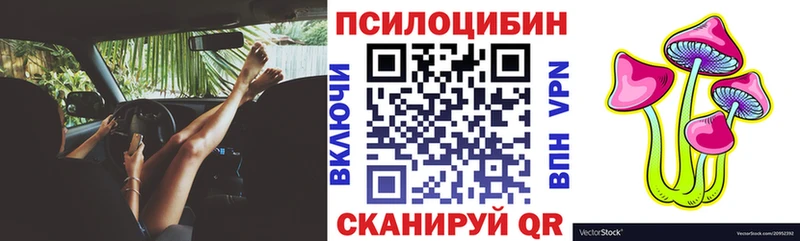 закладка  Ахтырский  Псилоцибиновые грибы мицелий 